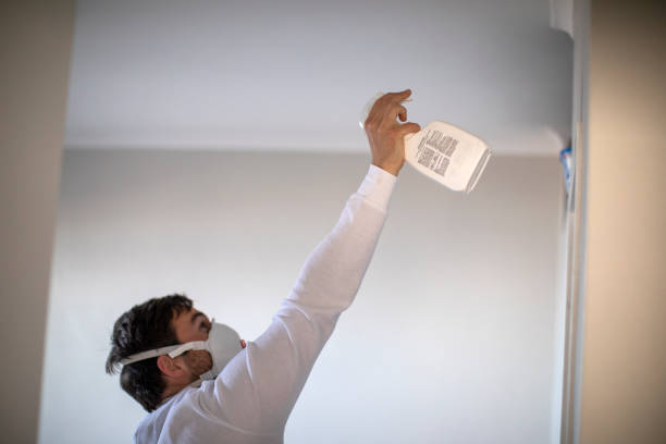 Best Mold Testing and Removal  in Kincaid, IL