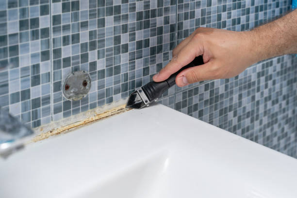 Best Fast Mold Removal  in Kincaid, IL
